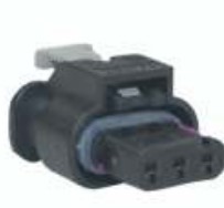 BRU07-03P026