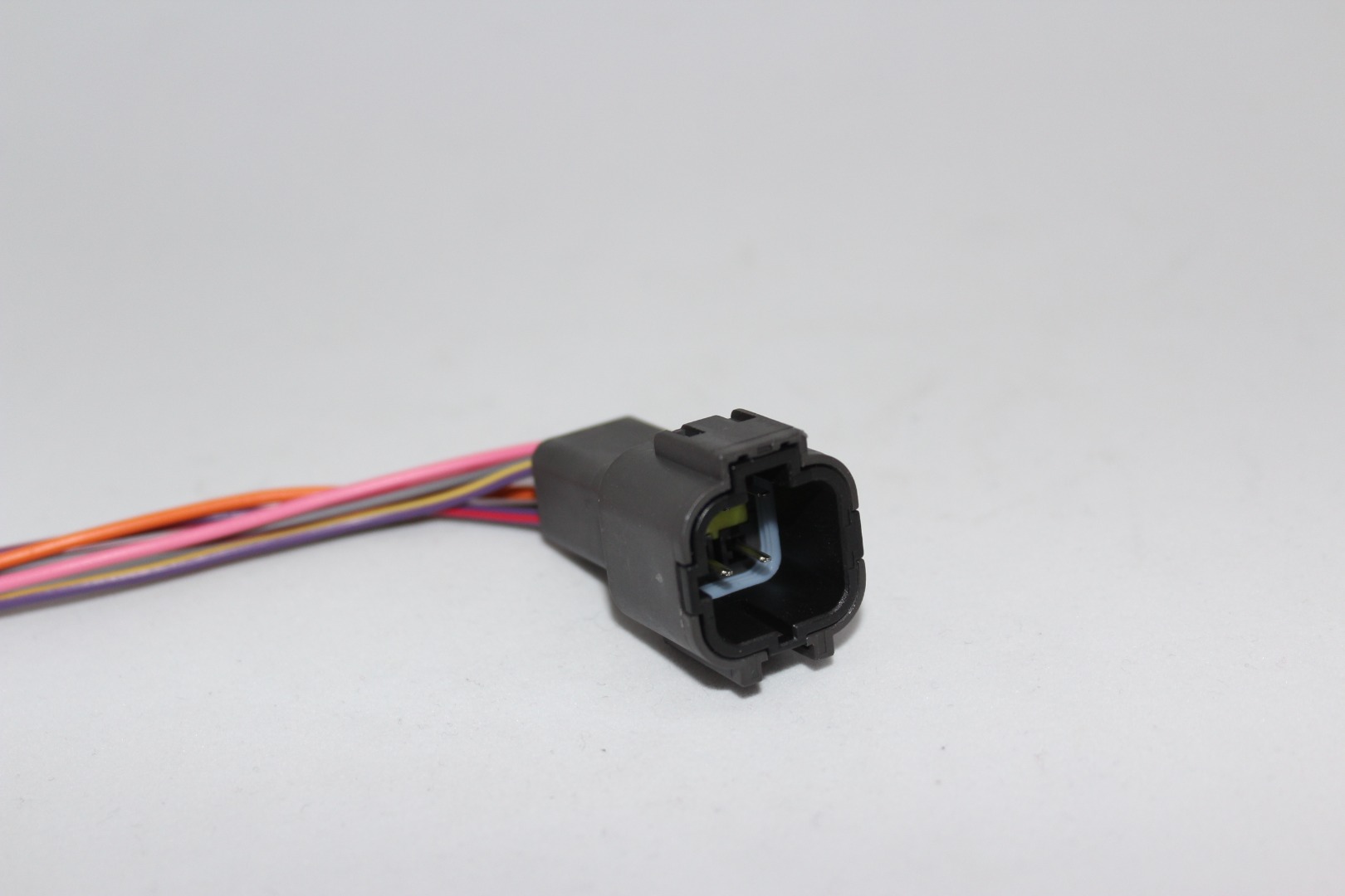 BRU07-06P036